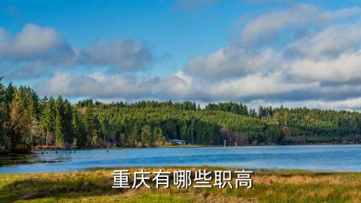 重慶有那些職業學校,重慶前十名職業學校...